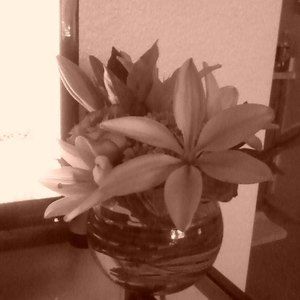 Meet your Posher, Ruth